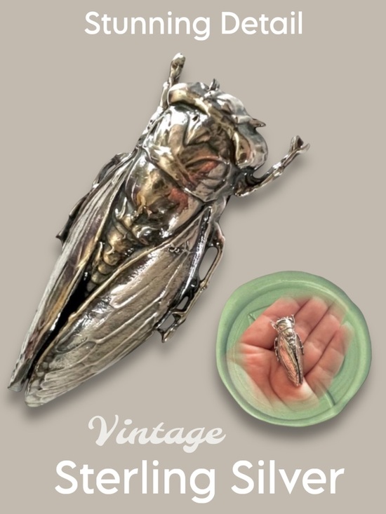 Jewelry - Gorgeous Cicada pin brooch STERLING SILVER